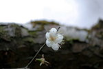 _MG_3636