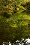 _MG_7324