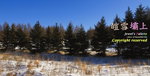 _MG_3582
