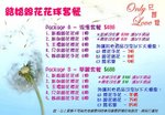 
浪漫及華麗套餐(2009-10-1)