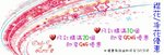 襟花手花優惠2010至3月31日