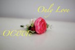 OC001c