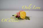 OC002c