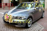 
花車佈置 CD001 - 金色繡花蝴蝶配粉紅大牡丹 一套 售$518 (連V帶)