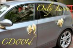 
CD001 - 車門花4個