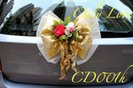 CD001h