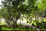 DSC__019