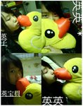 duck