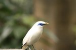 IMG_2287