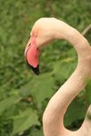 IMG_1510