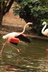 IMG_1515