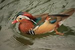 IMG_1532