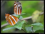 IMG_3553