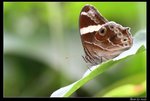 IMG_3595