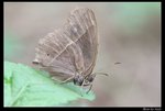 IMG_3597