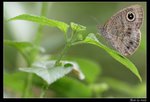 IMG_3639