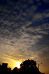 DSC_0492R