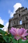 7.1馬交遊-蓮花-5