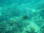 DSCF4071