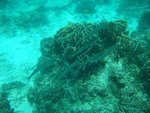 DSCF4074