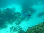 DSCF4075