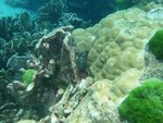 DSCF4076