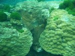 DSCF4078