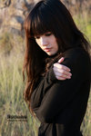 cherry09112353