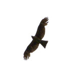 DSCF0357