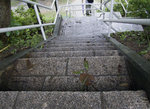 DSCF0356