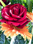 DSCF0902