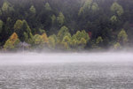 DSC_7977m