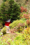 DSC_7995m