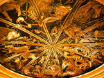 DSCN0571