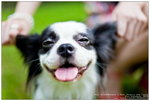 TammyDoggie_001