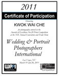 WPPI_Certificate_900