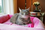 DSC03855