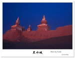 IMG_0142a