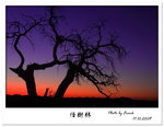 IMG_0158a