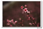IMG_3596