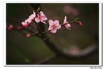 IMG_3613