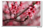 IMG_3637