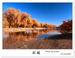 IMG_9037a