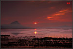日帶彩雲燒 海上紅一撮
