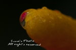 DSC_8180拷貝