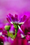 DSC00480
