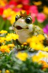 DSC00629