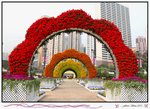 IMG_2907