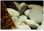 IMG_1494