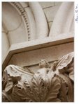 IMG_1625